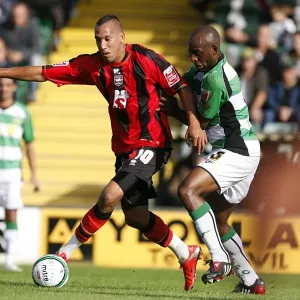 Brighton & Hove Albion Away at Yeovil Town: 2009-10 Season Brighton & Hove Albion Away at Yeovil Town: 2009-10 Season
