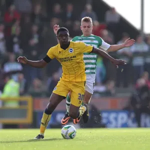 Brighton & Hove Albion Away at Yeovil Town (2013-14 Season) Brighton & Hove Albion Away at Yeovil Town (2013-14 Season)