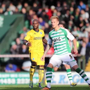 Brighton & Hove Albion Away at Yeovil Town (2013-14 Season): October 19, 2013 Brighton & Hove Albion Away at Yeovil Town (2013-14 Season): October 19, 2013
