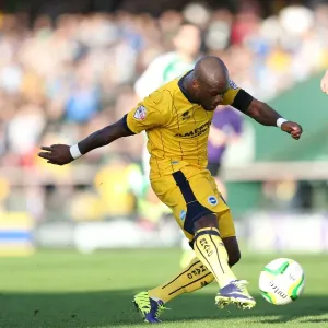 Brighton & Hove Albion Away at Yeovil Town (2013-14 Season): October 19, 2013 Brighton & Hove Albion Away at Yeovil Town (2013-14 Season): October 19, 2013