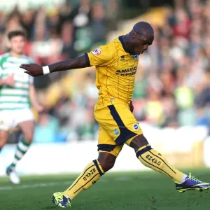 Brighton & Hove Albion Away at Yeovil Town (2013-14 Season): October 19, 2013 Brighton & Hove Albion Away at Yeovil Town (2013-14 Season): October 19, 2013