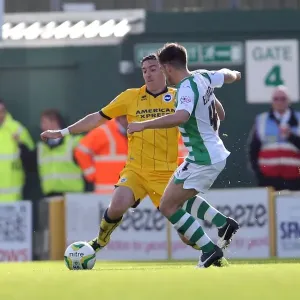 Brighton & Hove Albion Away at Yeovil Town (2013-14 Season): October 19, 2013 Brighton & Hove Albion Away at Yeovil Town (2013-14 Season): October 19, 2013