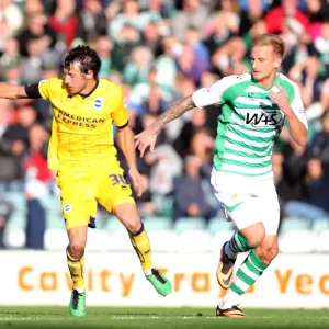 Brighton & Hove Albion Away at Yeovil Town (2013-14 Season) - October 19, 2013 Brighton & Hove Albion Away at Yeovil Town (2013-14 Season) - October 19, 2013