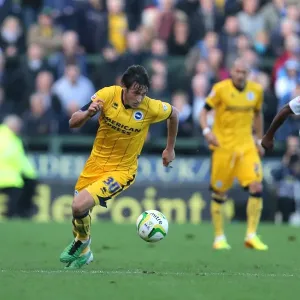 Brighton & Hove Albion Away at Yeovil Town (2013-14 Season): October 19, 2013 Brighton & Hove Albion Away at Yeovil Town (2013-14 Season): October 19, 2013