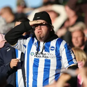 Brighton & Hove Albion at Blackpool (2012-13 Season): An Away Game Brighton & Hove Albion at Blackpool (2012-13 Season): An Away Game