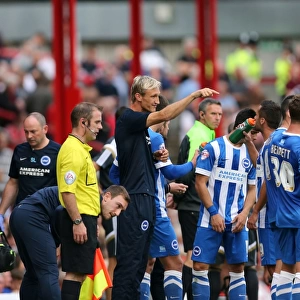 Brighton and Hove Albion at Brentford: Away Game, September 13, 2014