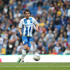 Brighton & Hove Albion: Will Buckley in Action against Bolton Wanderers, Skybet Championship 2013