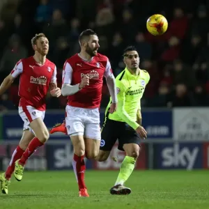 Brighton and Hove Albion Celebrate Championship Victory at Rotherham United (January 12, 2016) Brighton and Hove Albion Celebrate Championship Victory at Rotherham United (January 12, 2016)