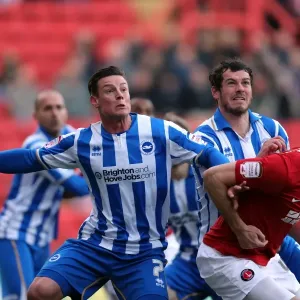 Brighton & Hove Albion at Charlton Athletic (Away): 2012-13 Season Highlights (December 8)