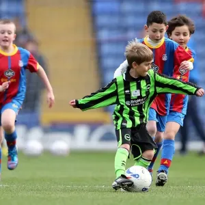 Brighton & Hove Albion at Crystal Palace: 2012-13 Season Away Game