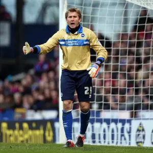 Brighton & Hove Albion at Crystal Palace: 2012-13 Season Away Game