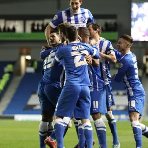 Brighton and Hove Albion: Dale Stephens Scores and Celebrates with Team against Derby County (March 2015) Brighton and Hove Albion: Dale Stephens Scores and Celebrates with Team against Derby County (March 2015)