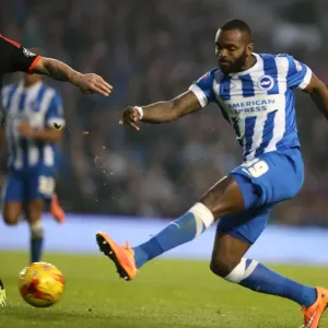 Brighton & Hove Albion: Darren Bent Scores on Debut Against Fulham (29 Nov 2014)