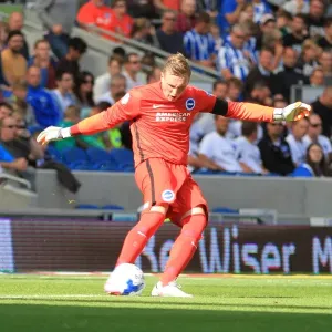 Brighton & Hove Albion: David Stockdale in Action against Hull City (Sky Bet Championship 2015) Brighton & Hove Albion: David Stockdale in Action against Hull City (Sky Bet Championship 2015)
