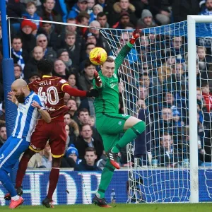 Brighton & Hove Albion: David Stockdale Focused During QPR Championship Clash, December 2016 Brighton & Hove Albion: David Stockdale Focused During QPR Championship Clash, December 2016