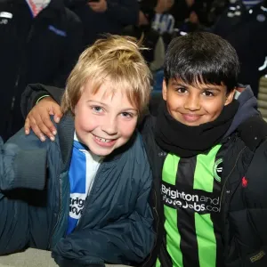 Brighton and Hove Albion: The Electric Amex Stadium Crowd (2012-2013) Brighton and Hove Albion: The Electric Amex Stadium Crowd (2012-2013)