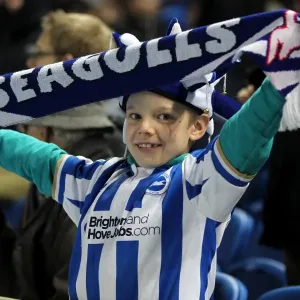 Brighton and Hove Albion: The Electric Amex Stadium Crowd (2012-2013) Brighton and Hove Albion: The Electric Amex Stadium Crowd (2012-2013)