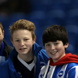 Brighton & Hove Albion: The Electric Amex Stadium Crowd (2012-2013)