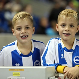 Brighton & Hove Albion: Electric Atmosphere - Crowd Shots from the Amex (2013-14) (Sheffield Wednesday Game)