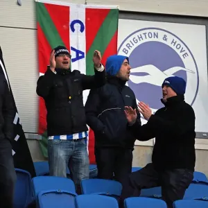 Brighton & Hove Albion: Electric Atmosphere at The Amex (2012-2013) - Fan Crowd Shots Brighton & Hove Albion: Electric Atmosphere at The Amex (2012-2013) - Fan Crowd Shots