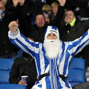 Brighton & Hove Albion: The Electric Atmosphere of The Amex (2012-2013) - Unforgettable Crowd Moments