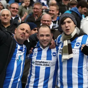 Brighton & Hove Albion: Electric Atmosphere - The Amex Stadium Crowd Shots (2012-2013) Brighton & Hove Albion: Electric Atmosphere - The Amex Stadium Crowd Shots (2012-2013)
