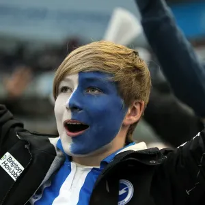 Brighton & Hove Albion: Electric Atmosphere - The Amex Stadium Crowd Shots (2012-2013) Brighton & Hove Albion: Electric Atmosphere - The Amex Stadium Crowd Shots (2012-2013)
