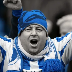Brighton and Hove Albion: Electric Atmosphere - Crowd Shots from The Amex Stadium (2012-2013) Brighton and Hove Albion: Electric Atmosphere - Crowd Shots from The Amex Stadium (2012-2013)