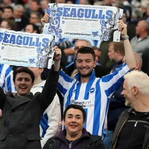 Brighton and Hove Albion: Electric Atmosphere - Crowd Shots at The Amex Stadium (2012-2013) Brighton and Hove Albion: Electric Atmosphere - Crowd Shots at The Amex Stadium (2012-2013)