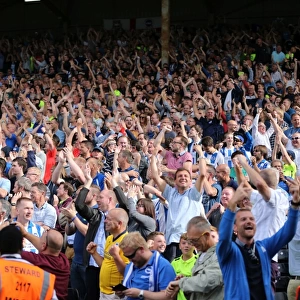 Brighton and Hove Albion: Euphoric Fans Celebrate Championship Victory at Craven Cottage (15.08.2015)