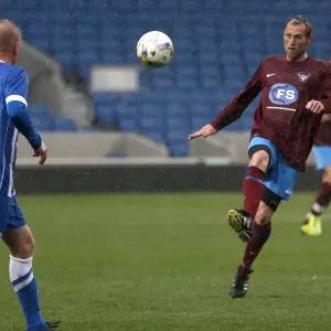 Brighton & Hove Albion: An Evening of Play on Pitch (April 29, 2015)