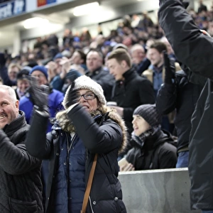 Brighton and Hove Albion FA Cup Clash: Seafront Supporters Fervor vs. Arsenal (Arsenal 25JAN15)