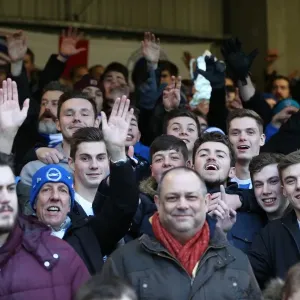 Print of Brighton and Hove Albion FA Cup Fans at Brentford Print of Brighton and Hove Albion FA Cup Fans at Brentford
