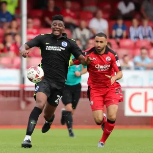 Brighton and Hove Albion Face Crawley Town in Pre-Season Friendly at Checkatrade Stadium (16th July 2016) Brighton and Hove Albion Face Crawley Town in Pre-Season Friendly at Checkatrade Stadium (16th July 2016)