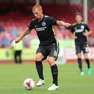 Brighton and Hove Albion Face Crawley Town in Pre-Season Friendly at Checkatrade Stadium (16th July 2016) Brighton and Hove Albion Face Crawley Town in Pre-Season Friendly at Checkatrade Stadium (16th July 2016)