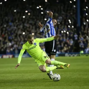 Brighton and Hove Albion Face Sheffield Wednesday in Championship Play-Off Showdown (May 2016)