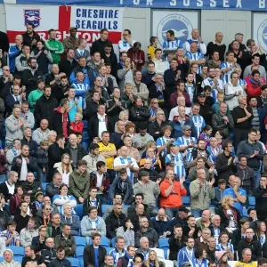 Brighton & Hove Albion Fans in Action at American Express Community Stadium during SkyBet Championship Match vs. Rotherham United (25th October 2014) Brighton & Hove Albion Fans in Action at American Express Community Stadium during SkyBet Championship Match vs. Rotherham United (25th October 2014)
