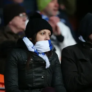 Brighton and Hove Albion Fans in Action at Bloomfield Road during the Sky Bet Championship Match vs Blackpool (31Jan15) Brighton and Hove Albion Fans in Action at Bloomfield Road during the Sky Bet Championship Match vs Blackpool (31Jan15)
