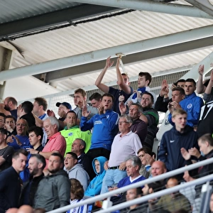 Brighton and Hove Albion Fans in Action at Reading's Madejski Stadium during Sky Bet Championship Match, 2016