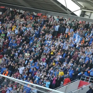Brighton and Hove Albion Fans in Action at Rotherham United Match, April 2015