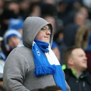 Brighton and Hove Albion Fans in Action: Sky Bet Championship Match vs. Nottingham Forest (07FEB15) Brighton and Hove Albion Fans in Action: Sky Bet Championship Match vs. Nottingham Forest (07FEB15)