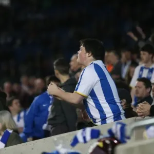 Brighton and Hove Albion Fans in Action during the Sky Bet Championship Match vs. Huddersfield Town (14APR15) Brighton and Hove Albion Fans in Action during the Sky Bet Championship Match vs. Huddersfield Town (14APR15)