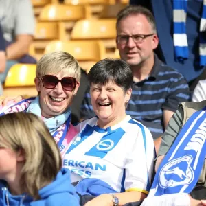Brighton and Hove Albion Fans in Action at Wolverhampton Wanderers Championship Clash, August 2015 Brighton and Hove Albion Fans in Action at Wolverhampton Wanderers Championship Clash, August 2015