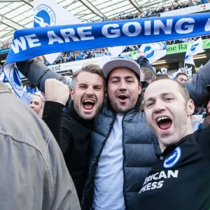 Brighton and Hove Albion Fans Celebrate at American Express Community Stadium during EFL Sky Bet Championship Match vs. Bristol City (29APR17)