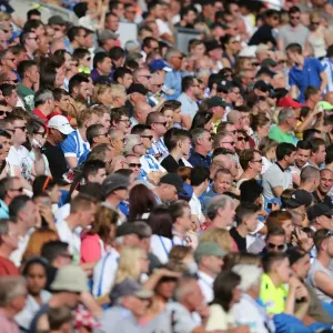 Brighton and Hove Albion Fans Celebrate at American Express Community Stadium During Pre-season Match Against Sevilla FC (2015) Brighton and Hove Albion Fans Celebrate at American Express Community Stadium During Pre-season Match Against Sevilla FC (2015)