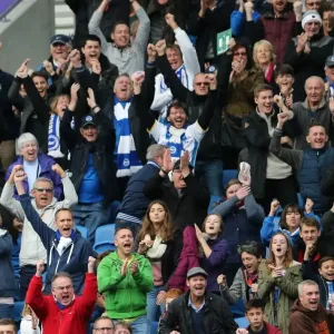 Brighton & Hove Albion Fans Celebrate at American Express Community Stadium during SkyBet Championship Match vs. Rotherham United (2014) Brighton & Hove Albion Fans Celebrate at American Express Community Stadium during SkyBet Championship Match vs. Rotherham United (2014)