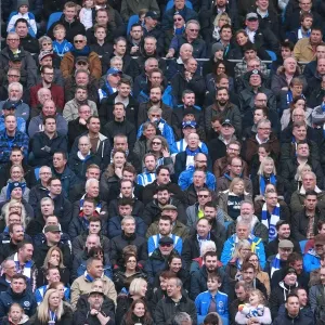 Brighton and Hove Albion Fans Celebrate Championship Victory Over Derby County, May 2016