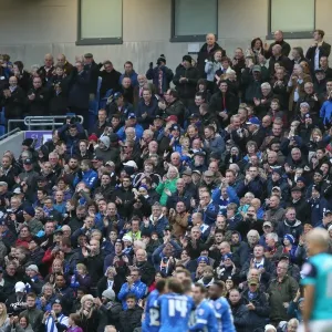 Brighton & Hove Albion: Fans Celebrate Championship Victory over Wigan Athletic (8 Nov 2014)