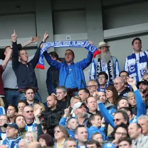 Brighton and Hove Albion Fans Celebrate Championship Victory over Wigan Athletic at American Express Community Stadium (17APR17) Brighton and Hove Albion Fans Celebrate Championship Victory over Wigan Athletic at American Express Community Stadium (17APR17)