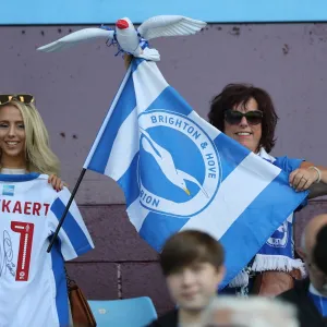 Brighton and Hove Albion Fans Celebrate Promotion to Premier League at Villa Park (07MAY17)